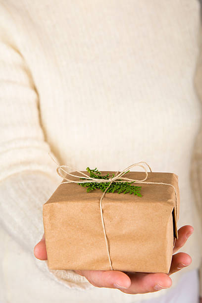 istock Woman hands holding a gift box 494640674