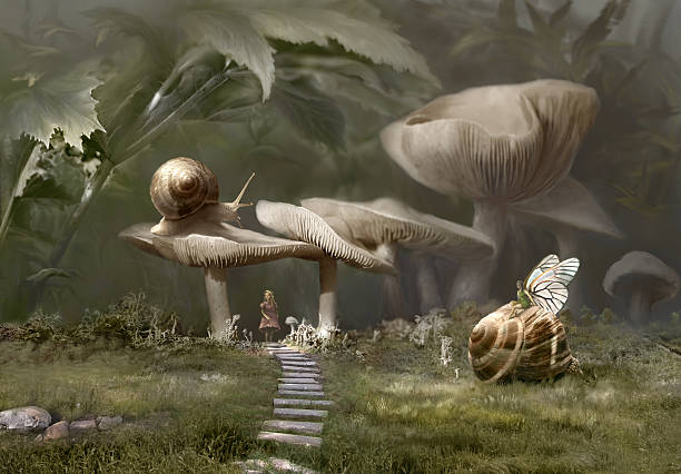 In Wonderland fabulous realistic landscape, collage and digital painting surrealism stock pictures, royalty-free photos & images