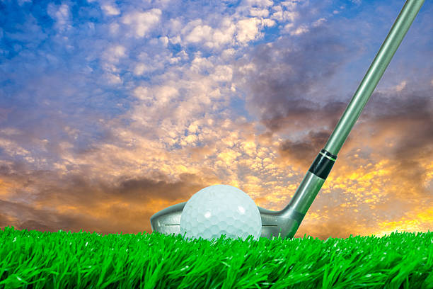 istock Golf ball and fairway wood on grass 494641736