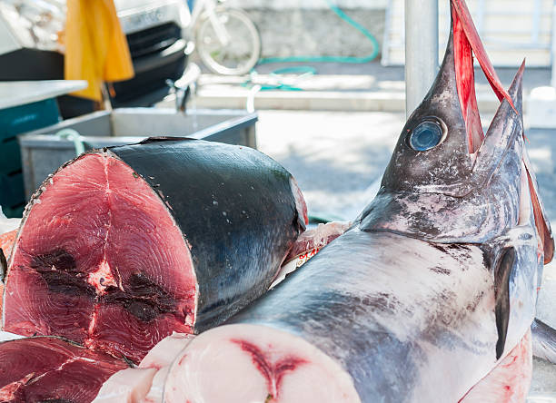 istock Swordfish for sale 494643008