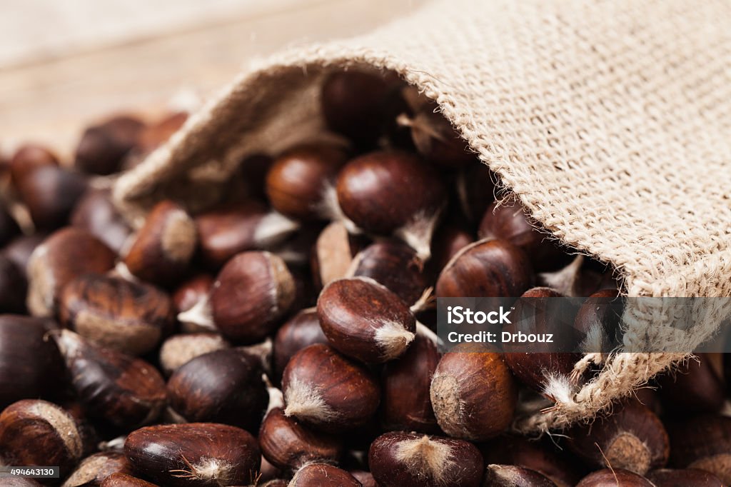 Fresh raw chestnut fruits - close up Fresh picked chestnut fruits in jute sack, extreme close up; selective focus at foreground; 2015 Stock Photo