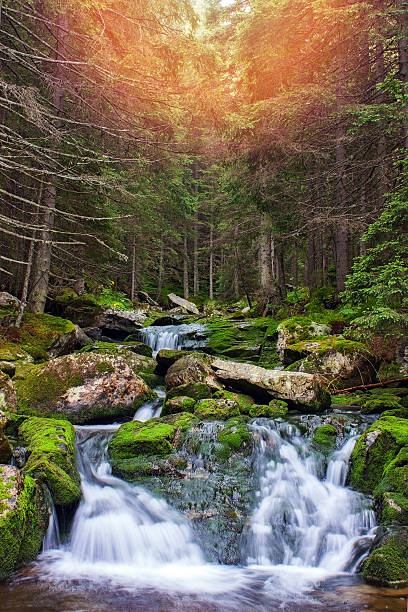 istock Scenic waterfall flowing through forest in Retezat mountains 494647136