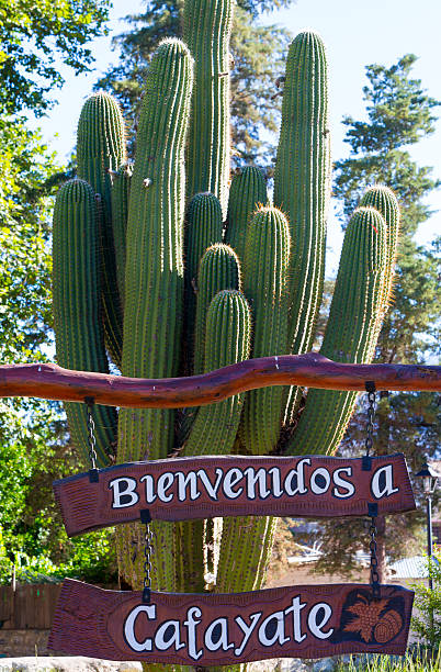 istock Wooden welcome sign in Cafayate with large cactus 494658656