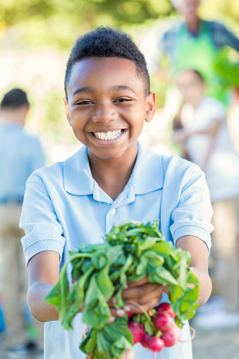 Adorable elementary age African American little boy is smiling and looking at the camera. He is holding a bundle of fresh radishes, and is wearing a private school uniform. Students are working in school vegetable garden and learning about plant life during science class.