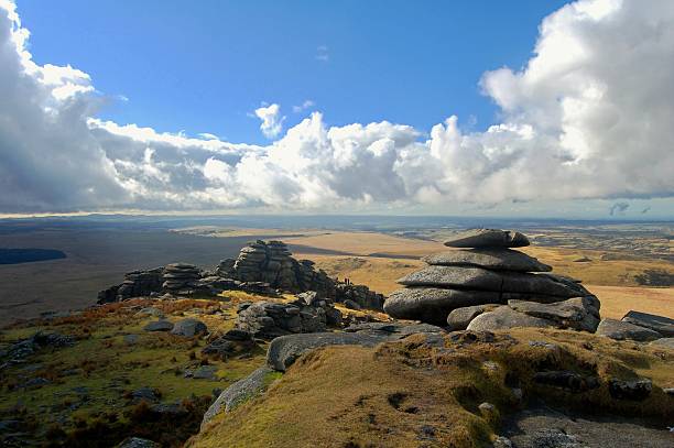 szorstka tor - bodmin moor zdjęcia i obrazy z banku zdjęć