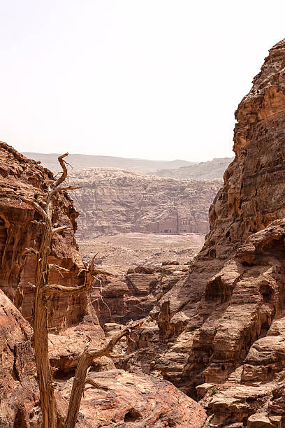 istock The very deep canyons  in Petra, Jordan 494661022