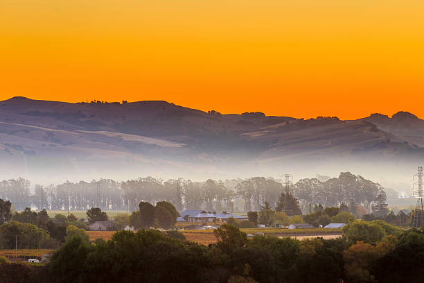 이른 아침 포도원입니다 및 타운 napa valley california - winery vineyard california town of vineyard 뉴스 사진 이미지