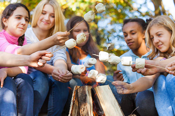 Teens hold marshmallow sticks on bonfire together Teens hold marshmallow sticks near bonfire together on campsite during sunny autumn day in forest bonfire photos stock pictures, royalty-free photos & images
