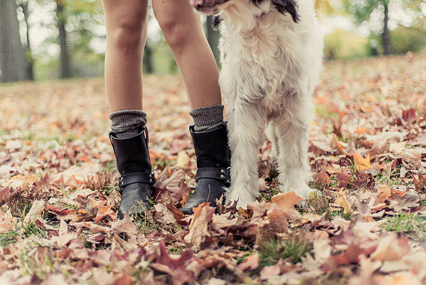 istock Woman in boots with dog in Fall 494665330
