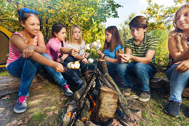amis sur camping grill marshmallow salon - food wood vibrant color close up photos et images de collection