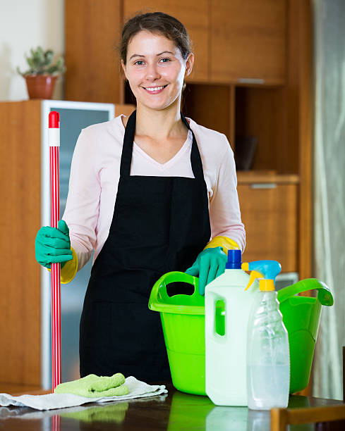 istock maid in apron dusting and wiping 494668946
