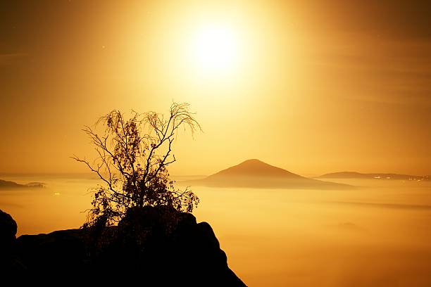 Island with tree. Sandstone rock increased from misty ocean The island with tree. Full moon night in a beautiful mountain.  Sandstone peaks and hills increased from foggy background, the fog is orange contrail moon on a night sky stock pictures, royalty-free photos & images