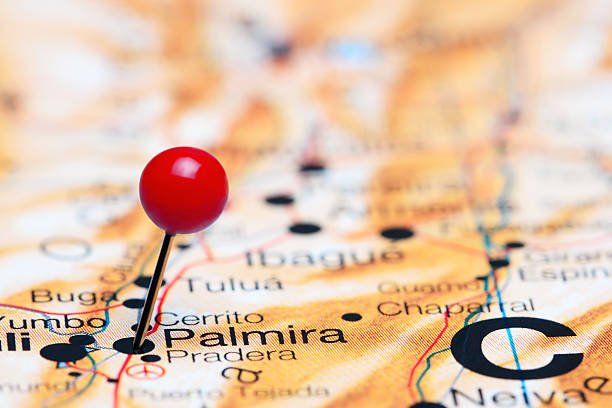 Palmira pinned on a map of America Photo of pinned Palmira on a map of South America. May be used as illustration for traveling theme. palmira colombia stock pictures, royalty-free photos & images