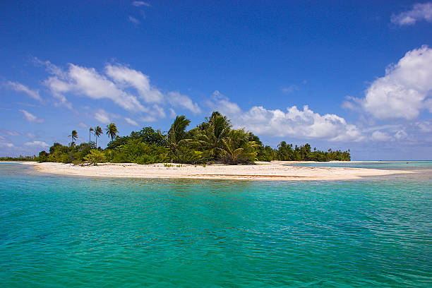 istock motu motu in tahiti 494673165