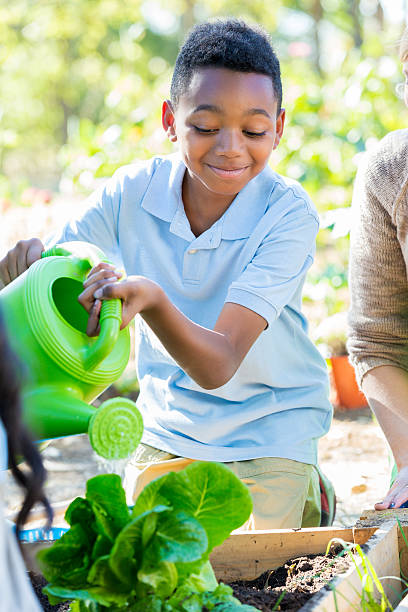 istock Little boy watering plants in garden during science class 494673408