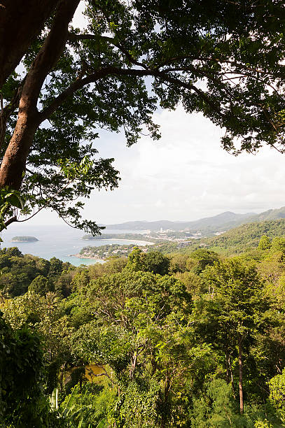 istock panoramic view with Kata beach from the hill, Phuket 494673443