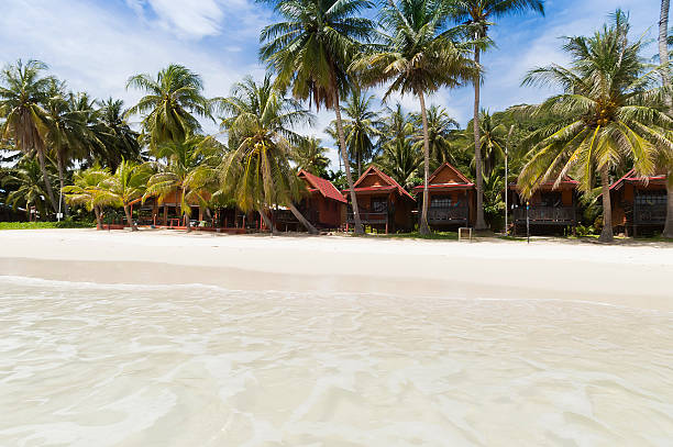 istock bungalow and coconut tree, Koh Phagnan Island 494675377