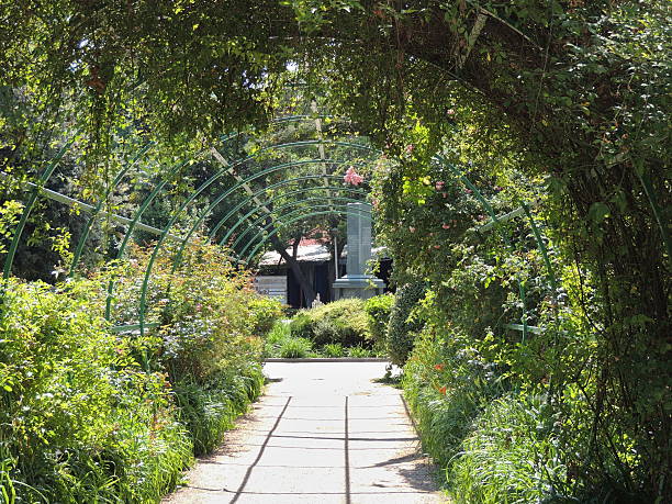 istock Green arch in Yalta. 494675825