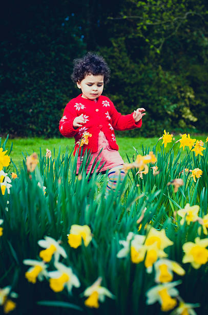 istock PEOPLE: Toddler (2-3) Walking In Field Of Daffodil. 494676249
