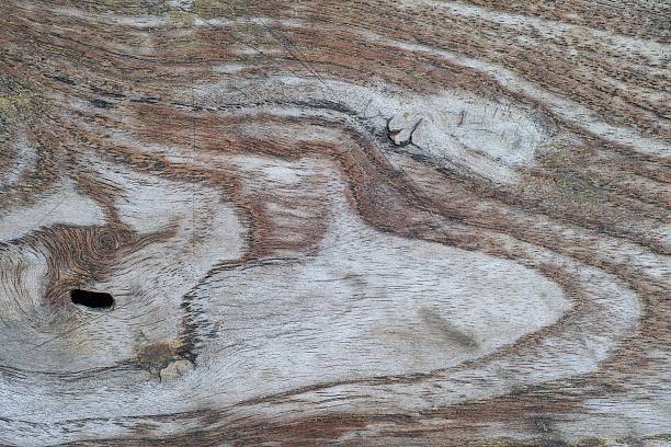 istock Wet and Dry Wood Texture 494677011