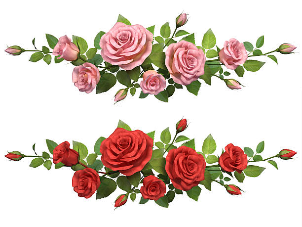 Horisontal border with roses branches. stock photo