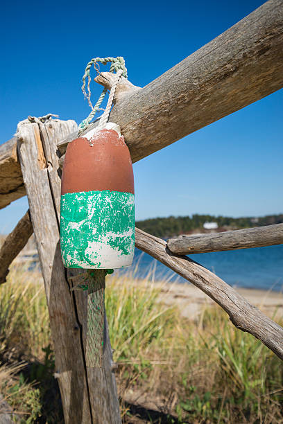 istock Old weathered lobster buoy 494698328