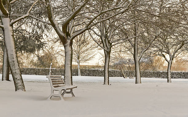 istock Lone Bench in a Park Covered with Snow -   Parque 494699356