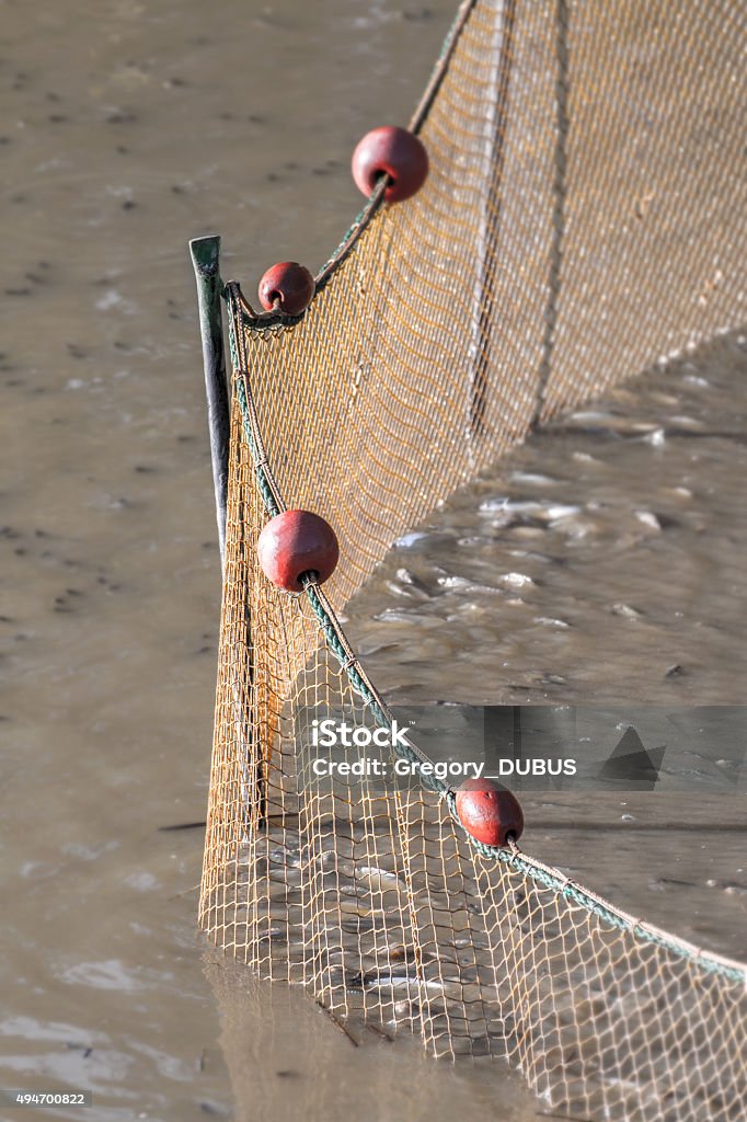 Large Fishing Net Planted In Middle Of Pond Of Dombes Stock Photo