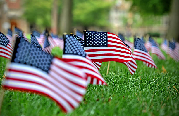 American Flags stock photo