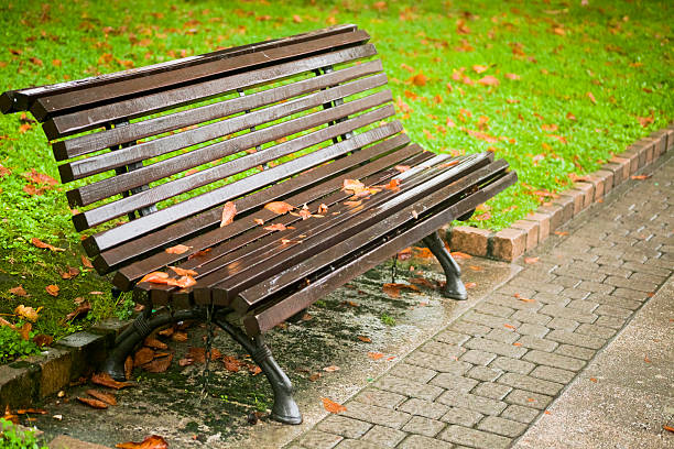 Garden in autumn,  leaves on the ground and on a wooden bench in a rainy day.