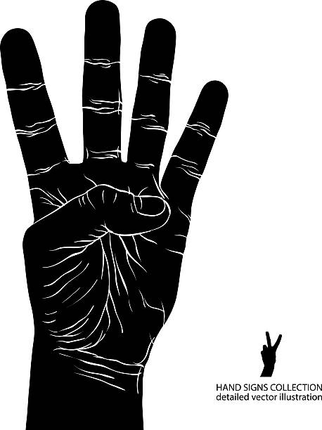 istock Numbers hand signs set, number four, detailed black and white 494704826