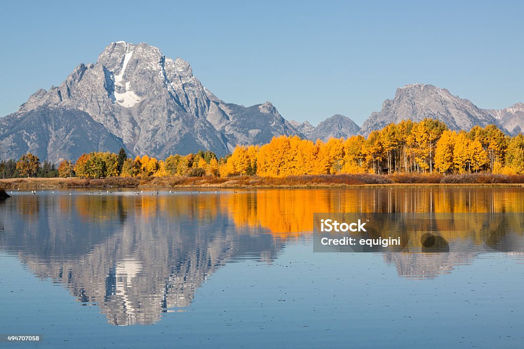 Teton Fall Reflection a reflection of the tetons in fall from oxbow bend 2015 Stock Photo
