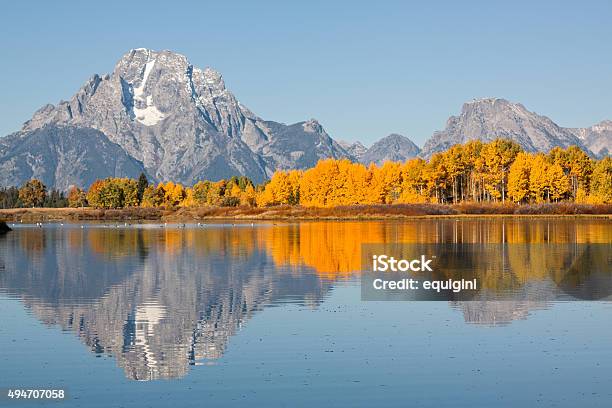 Teton Fall Reflection Stock Photo - Download Image Now - 2015, Aspen Tree, Autumn