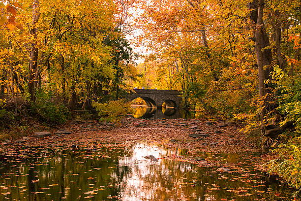 istock Bridge of Gold 494707114