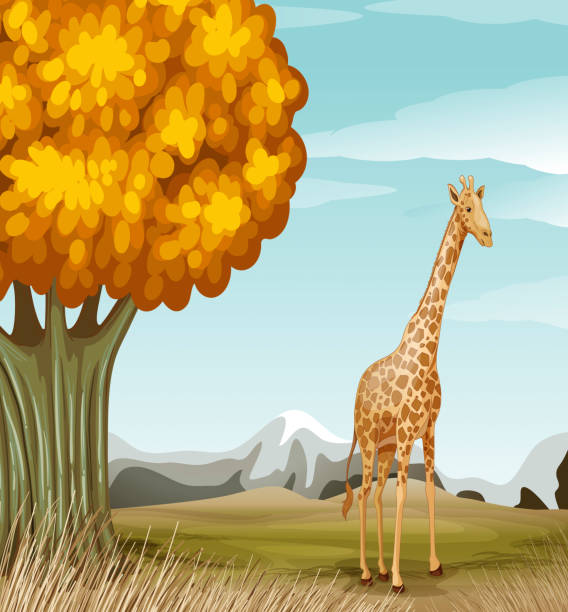 ilustraciones, imágenes clip art, dibujos animados e iconos de stock de jirafa cerca de un gran árbol - grass branch wealth forest