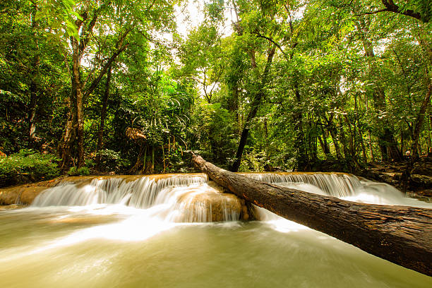 cascata - travel travel locations nature erawan imagens e fotografias de stock