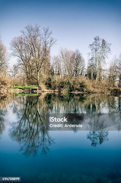 Alberi Riflesso Nellacqua Di Lago Viraggio - Fotografie stock e altre immagini di Acqua - Acqua, Albero, Ambientazione esterna