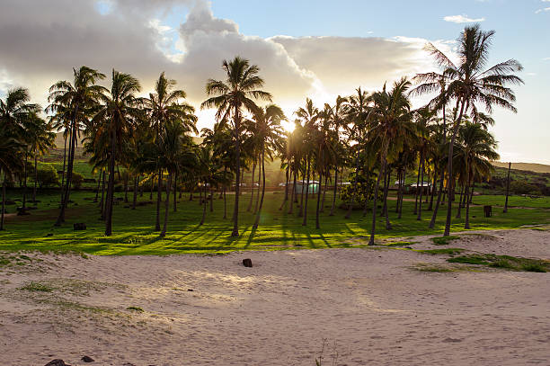 istock Sunset on Isla de Pascua. Rapa Nui. Easter Island 494709447