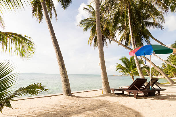kryształ niebieski czysta woda i palmami wyspy, pięć, koh samui - thailand surat thani province ko samui coconut palm tree zdjęcia i obrazy z banku zdjęć