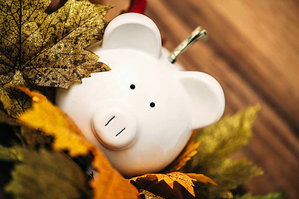 istock Fall Savings. Piggy bank amongst fall leaves with dollar bill 494710764