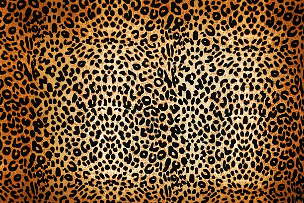 leopard pattern wild animal pattern background or texture close up - material tillable stock pictures, royalty-free photos & images