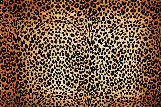 Photo of leopard pattern