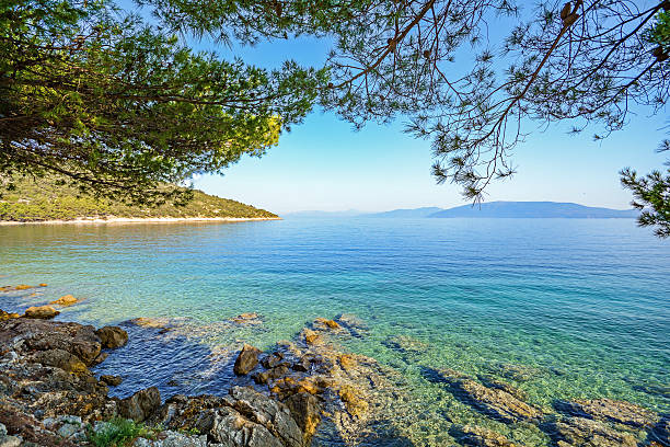 cres island, kroatien: blick vom strand, der promenade am meer - europe pine tree sea adriatic sea stock-fotos und bilder