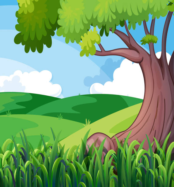 ilustraciones, imágenes clip art, dibujos animados e iconos de stock de gran árbol en las colinas - grass branch wealth forest