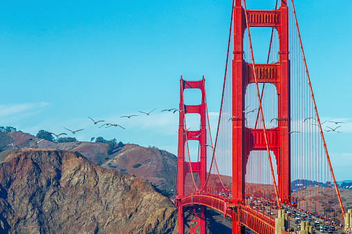 Famouse golden gate bridge in rush hours.