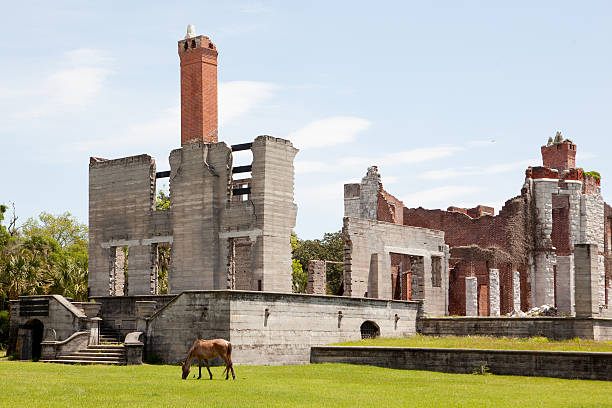 ruínas dungeness na ilha cumberland na geórgia - cumberland island imagens e fotografias de stock