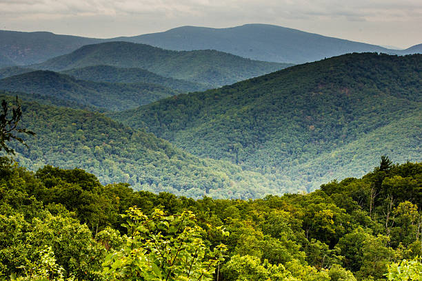 istock Shenandoah National Park, Virginia 494713782