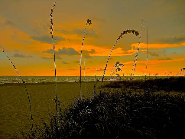 istock Sunset at Sarasota beach in Florida 494713984
