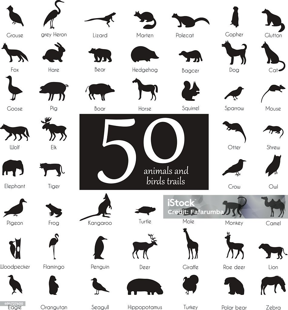 Vector set of very detailed animal silhouettes with name Vector set of very detailed animal silhouettes with name on isolated background. 2015 stock vector