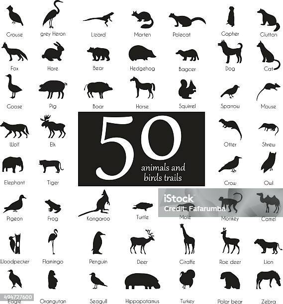 Vector Set Of Very Detailed Animal Silhouettes With Name Stock Illustration - Download Image Now